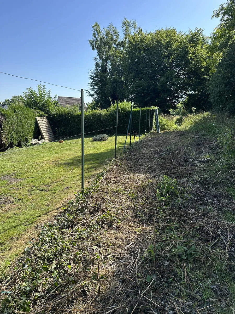 Bande de terrain dégagée le long d'une haie, avant la pose d'un grillage
