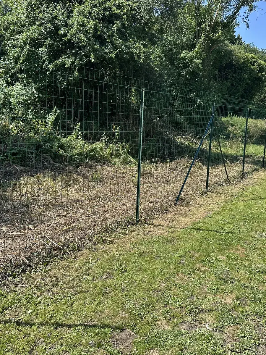 Grillage souple vert posé entre des poteaux le long d'un terrain dégagé